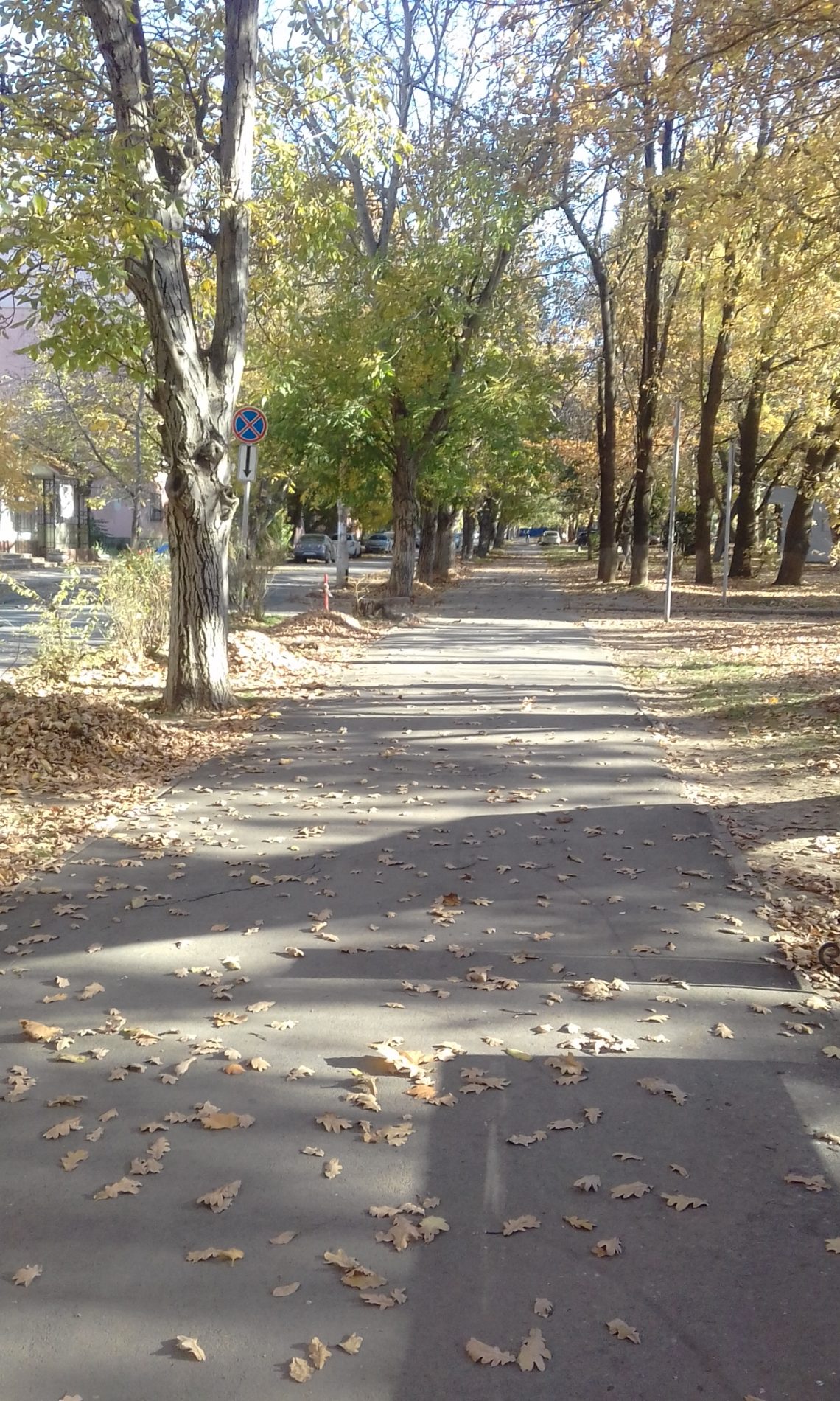Прогулка в парке осенью 1