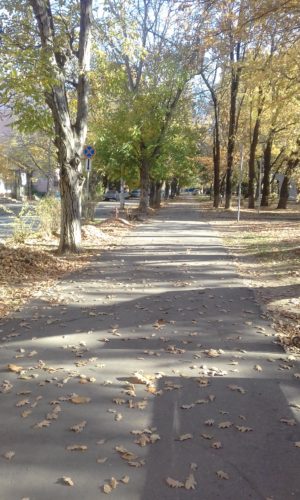 Прогулка в парке осенью